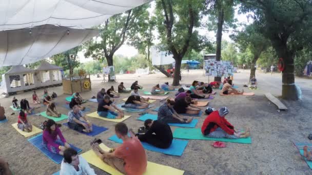 Gruppo hatha yoga sul festival etno esoterico — Video Stock