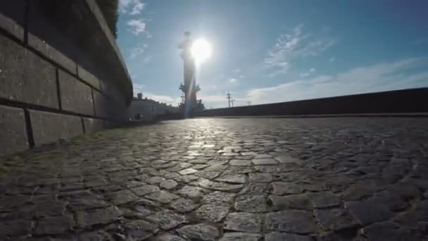 Растральные башни Санкт-Петербурга — стоковое видео