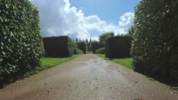 Labirintus a bokrok között — Stock videók