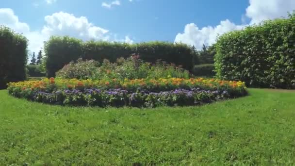 Labyrint bland buskar och blomma säng — Stockvideo