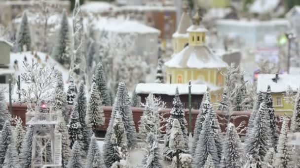 Godståg i snöiga skogen — Stockvideo