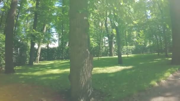 Chemin dans le parc citys — Video