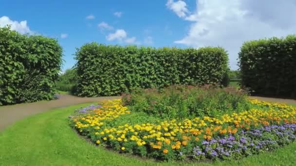 Maze among the bushes and Flower bed — Stock Video