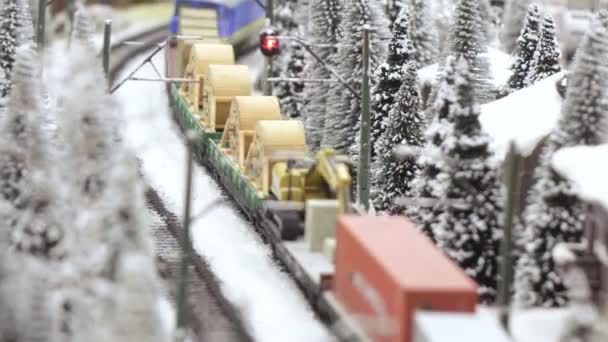 Pociąg towarowy w ośnieżonych lasach — Wideo stockowe