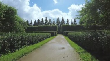 Çalıların arasında labirent