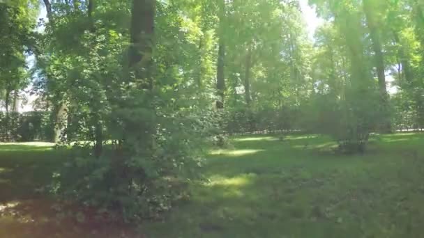 Chemin dans le parc citys — Video