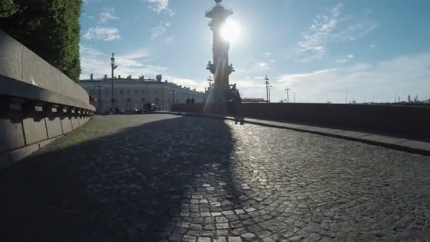 Torre Rastralnye em São Petersburgo — Vídeo de Stock