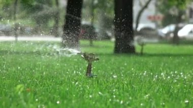 Yağmurlama sulama Park