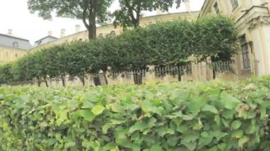 Çit ve çalılar Menshikov Sarayı önünde