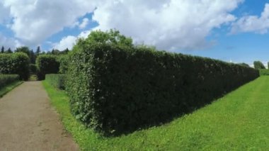 Çalıların arasında labirent