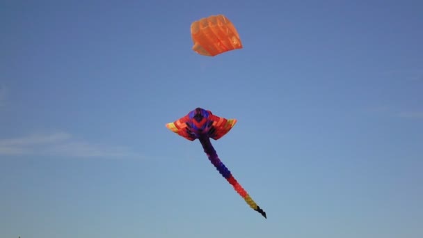 Air ciel serpent dans le ciel — Video