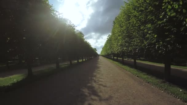 Callejón en el Parque en Peterhof — Vídeo de stock