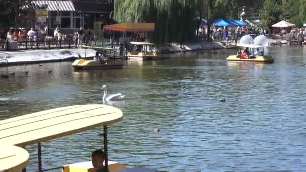 La gente en barcos de recreo en el parque Globa estanque pasado Chkalov — Vídeo de stock