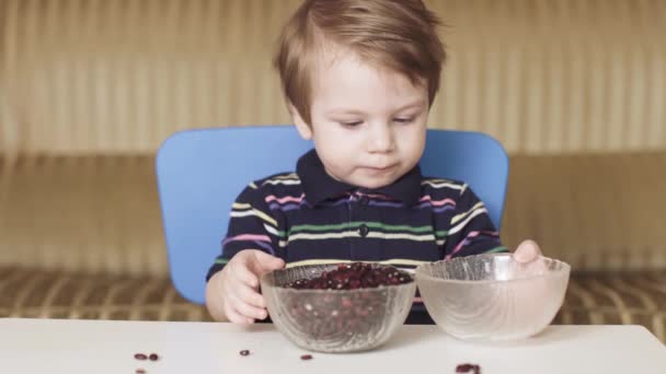 Niño niño está jugando frijoles — Vídeos de Stock