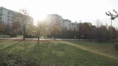 Şehir parkındaki ağaçların dallarındaki güneş.