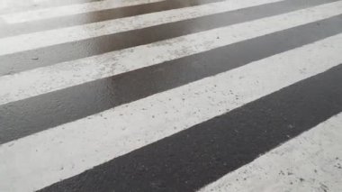 Yağmurdan sonra yaya geçidi