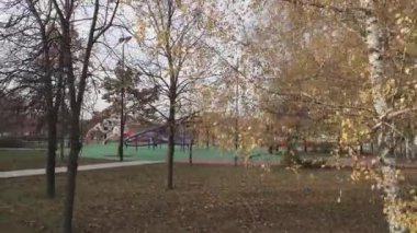 Ağaçlarla çevrili oyun alanı