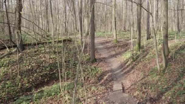 Дерев'яний пішохідний міст над брудом — стокове відео