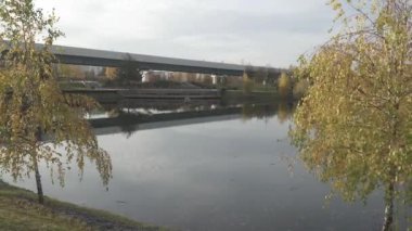 Şehir parkında gölet