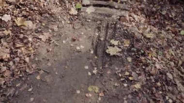 Çamurun üzerinde tahta köprü