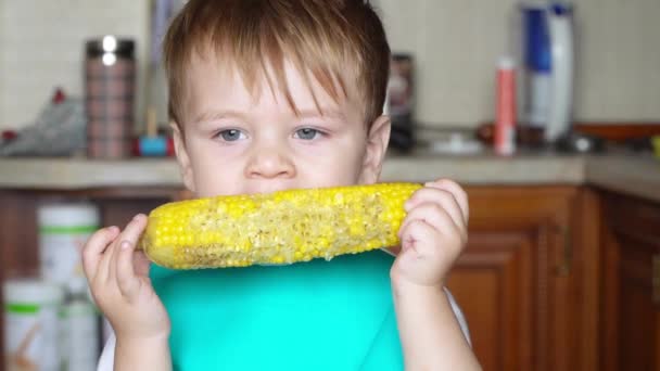 Menino comendo milho cozido — Vídeo de Stock