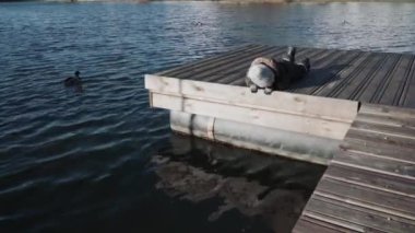 Tulumlu ve kış şapkalı bir çocuk.
