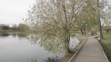 Kıyıda ahşap döşeme