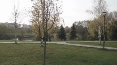 Şehir parkında gölet