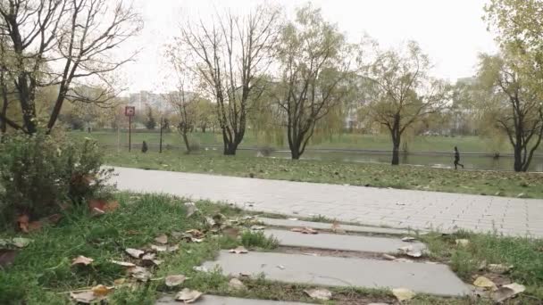 城市公园流动沥青清洗机 — 图库视频影像