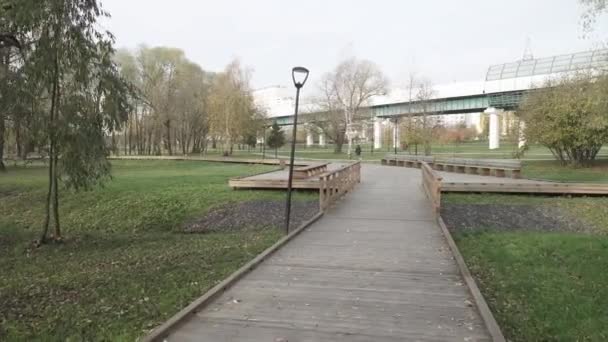 Planchers en bois dans le parc — Video