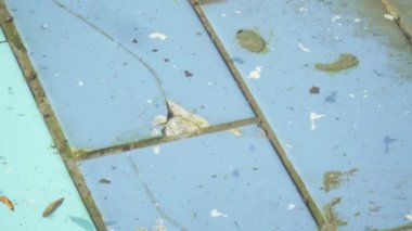 Parkta renkli çamur havuzu