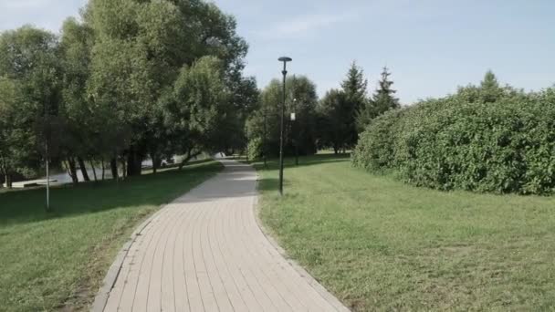 Gasse im Stadtpark — Stockvideo