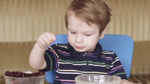 Pojke barn leker bönor — Stockvideo