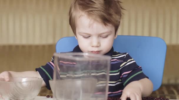 Niño niño está jugando frijoles — Vídeos de Stock