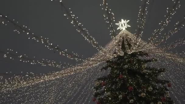 Christmas decoration CUM — Vídeo de Stock