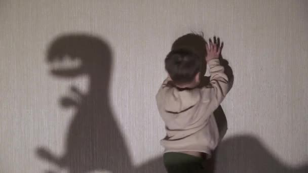 Ein Kind spielt mit einem Schatten — Stockvideo