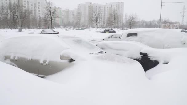 Автомобили, покрытые снегом — стоковое видео