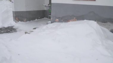 Bir iskan binasının önünde kar yağışı