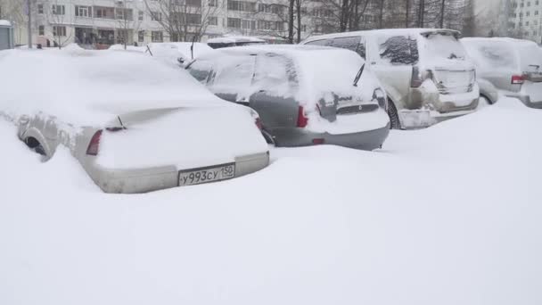 雪地覆盖的汽车 — 图库视频影像