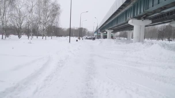 Una linea di una metropolitana fuori terra in un parco dopo una nevicata pesante in una zona residenziale di Mosca Yuzhnoye Butovo — Video Stock