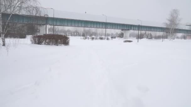 在莫斯科尤兹诺耶 · 布托沃住宅区一场大雪之后，公园里的一列地面地铁 — 图库视频影像