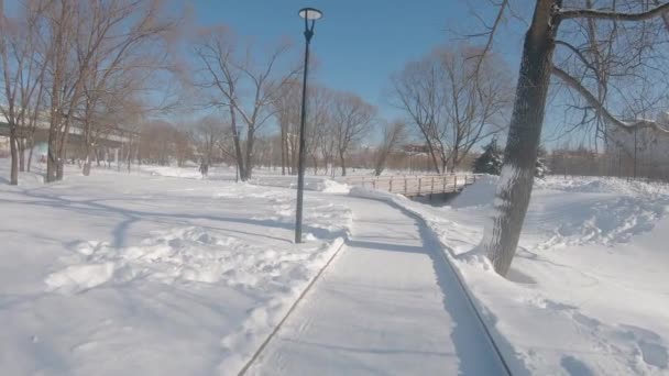 莫斯科尤兹诺耶 · 布托沃（Yuzhnoye Butovo）城市公园大雪过后，被白雪覆盖的木制地板 — 图库视频影像