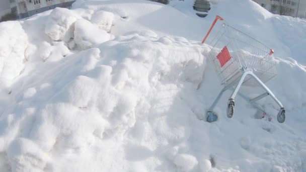 Продуктовий візок лежить на снігу — стокове відео