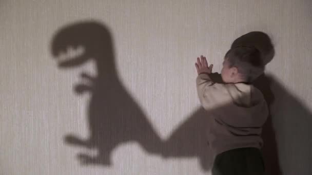 Un niño juega con una sombra — Vídeo de stock