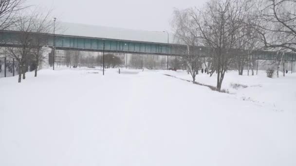 Une ligne d'un métro hors sol dans un parc après une forte chute de neige dans un quartier résidentiel de Moscou Yuzhnoye Butovo — Video