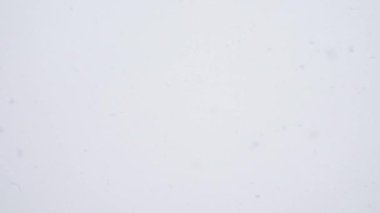 Arkaplanda büyük bir kar var