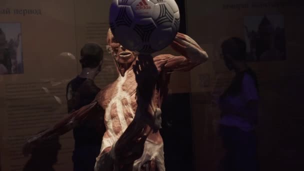 Esqueleto de un jugador de fútbol con la piel removida y con una pelota — Vídeos de Stock