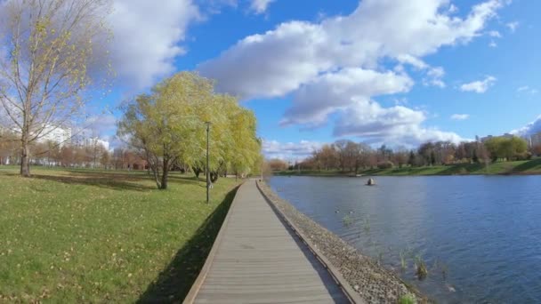 Дерев'яна доріжка біля ставка — стокове відео