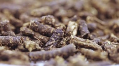 Ivan-tea mayalanmış.