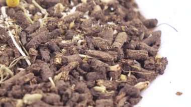 İvan çayı ve masada papatya çayı